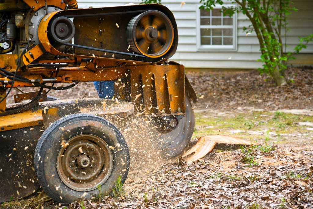 Stump Grinding Stump Grinding