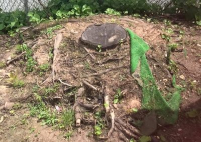 Stump Grinding