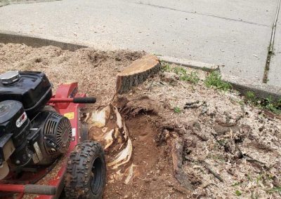 Stump Grinding