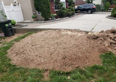 Stump Grinding